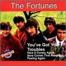 You’ve Got Your Troubles
