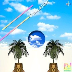 SIMULATION