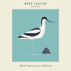Avocet