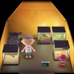 Accidental Nintendo Switch Field Recordings Vol. Animal Crossing: New Horizons