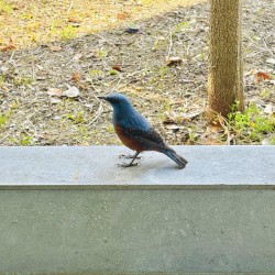 Fragmentary Passage III