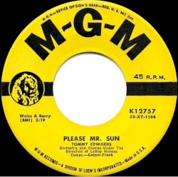 Please Mr. Sun / The Morning Side of the Mountain