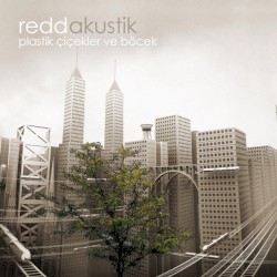 Plastik Çiçekler ve Böcek