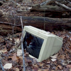 GIRLZ LIKE **US** Are ROTTEN 2two the ~~ CORE ~~