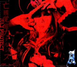 亡國覚醒カタルシス