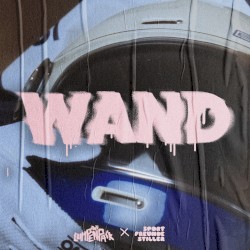 Wand