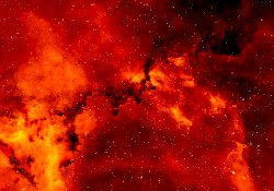 Stellar Remnants of a Crimson Void