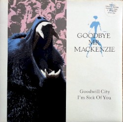 Goodwill City / I’m Sick of You