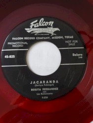 Jacaranda / Navidad tropical