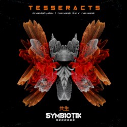 Overflow / Never Say Never