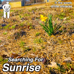 Searching For Sunrise
