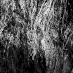 Hymns for Sliced Velocities