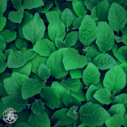 Greenery