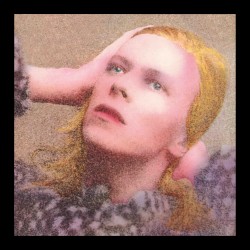 Hunky Dory