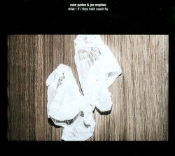 What / If / They Both Could Fly