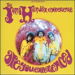 Are You Experienced