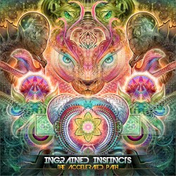 The Accelerated Path