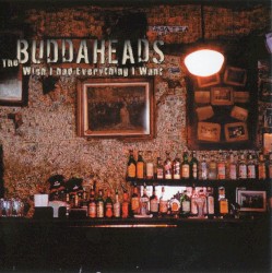 Wish I Had Everything I Want