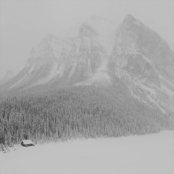 True North