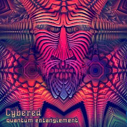 Quantum Entanglement