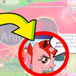 vylet pony mashup.mp4