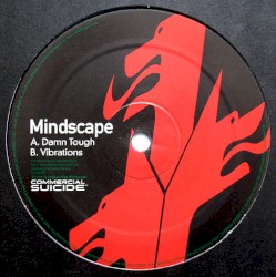 Damn Tough / Vibrations