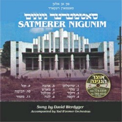 Satmar Nigunim