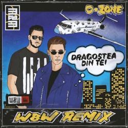 Dragostea Din Tei (W&W extended mix)