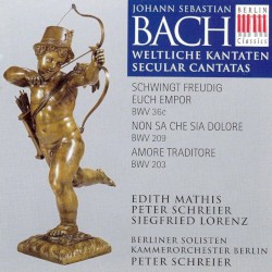 Weltliche Kantaten: Schwingt freudig euch empor BWV 36c / Non sa che sia dolore BWV 209 / Amore traditore BWV 203