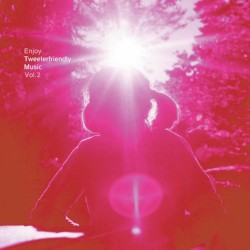 Enjoy Tweeterfriendly Music, Volume 2