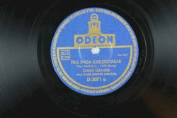 Fäll inga kärlekstårar / Romans