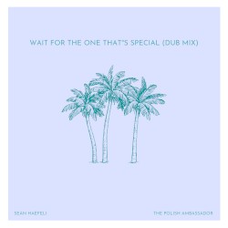 Wait for the One That’s Special (dub mix)
