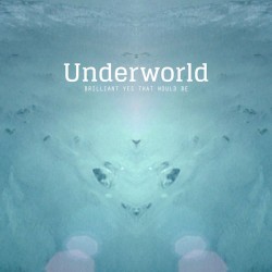 Brilliant Yes That Would Be