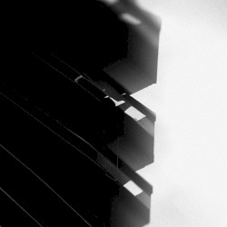 The Motion