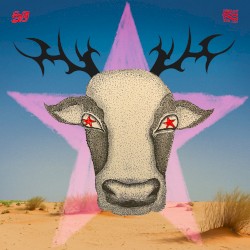 Your Mother’s Name