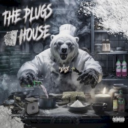 THE PLUGS HOUSE