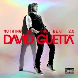 Nothing But the Beat 2.0
