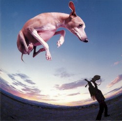 Flying Dog