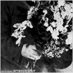 Wish You Were Heroin/II/SPLIT