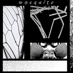 Mosquito