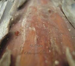 Otherworldliness