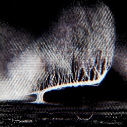 𝘵𝘩𝘦 𝘳𝘢𝘱𝘦 𝘰𝘧 𝘴𝘪𝘯𝘤𝘦𝘳𝘪𝘵𝘺 �⃣♥