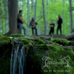 Live Off the Forest Floor