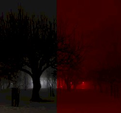 Evil in the Air (preview)