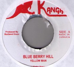 Blue Berry Hill