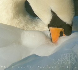 The Unbroken Surface of Snow