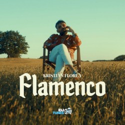 Flamenco