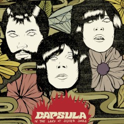 In The Land Of Silver Souls