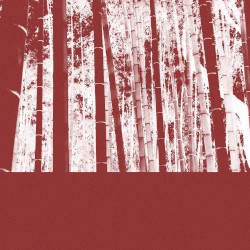 OBJECT OF DESIRE 006