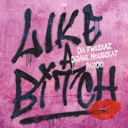 Like A Bitch